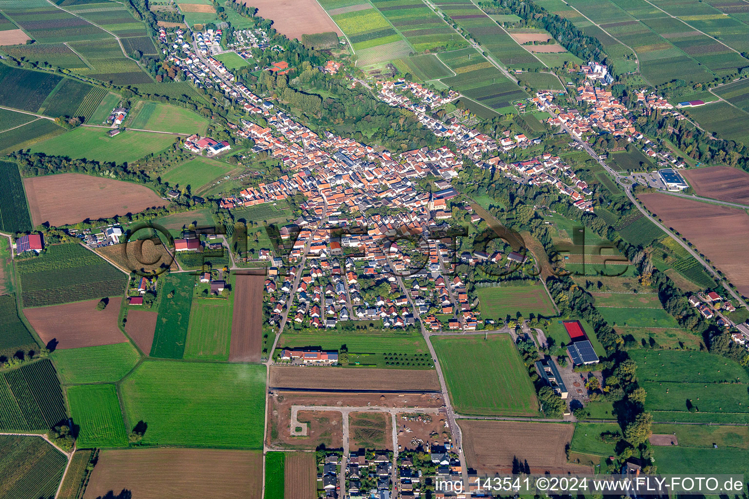 Ortschaft von Osten im Ortsteil Ingenheim in Billigheim-Ingenheim im Bundesland Rheinland-Pfalz, Deutschland