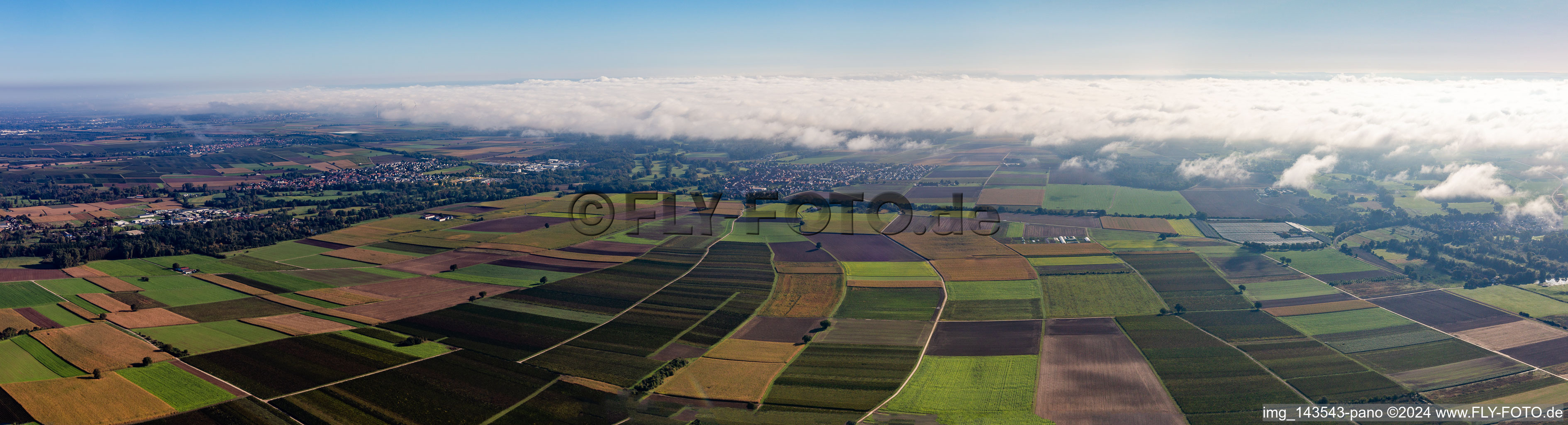 Panoram "Tiefen-Tal" in Billigheim-Ingenheim im Bundesland Rheinland-Pfalz, Deutschland