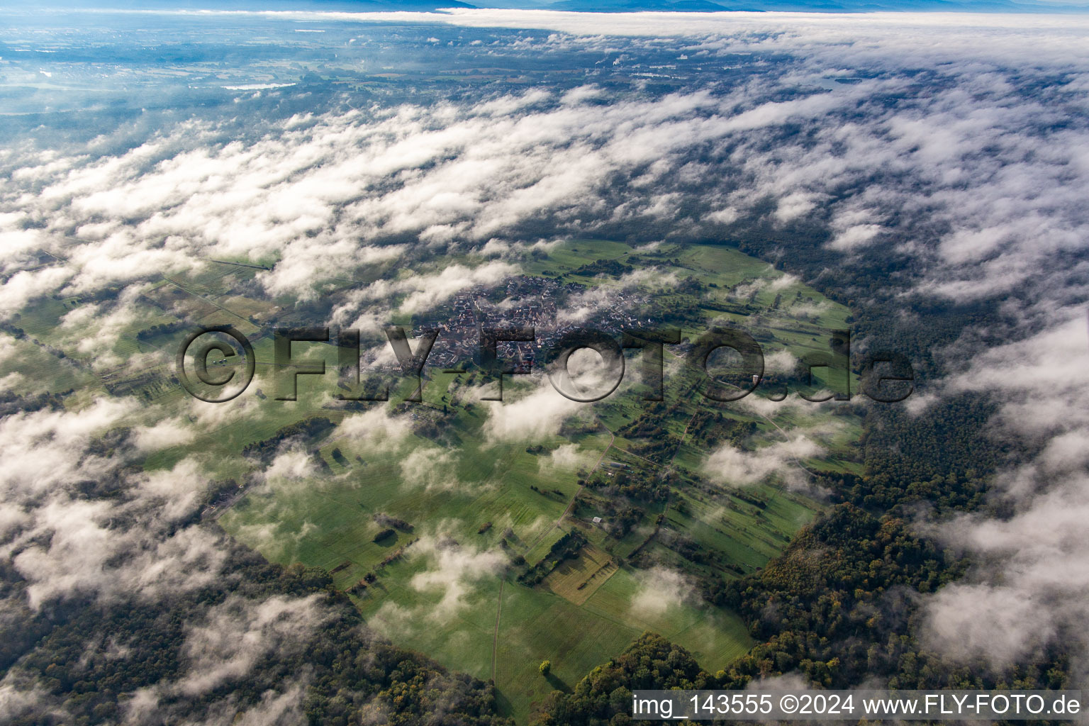 Eine Insel im Bienwald unter Wolken im Ortsteil Büchelberg in Wörth am Rhein im Bundesland Rheinland-Pfalz, Deutschland