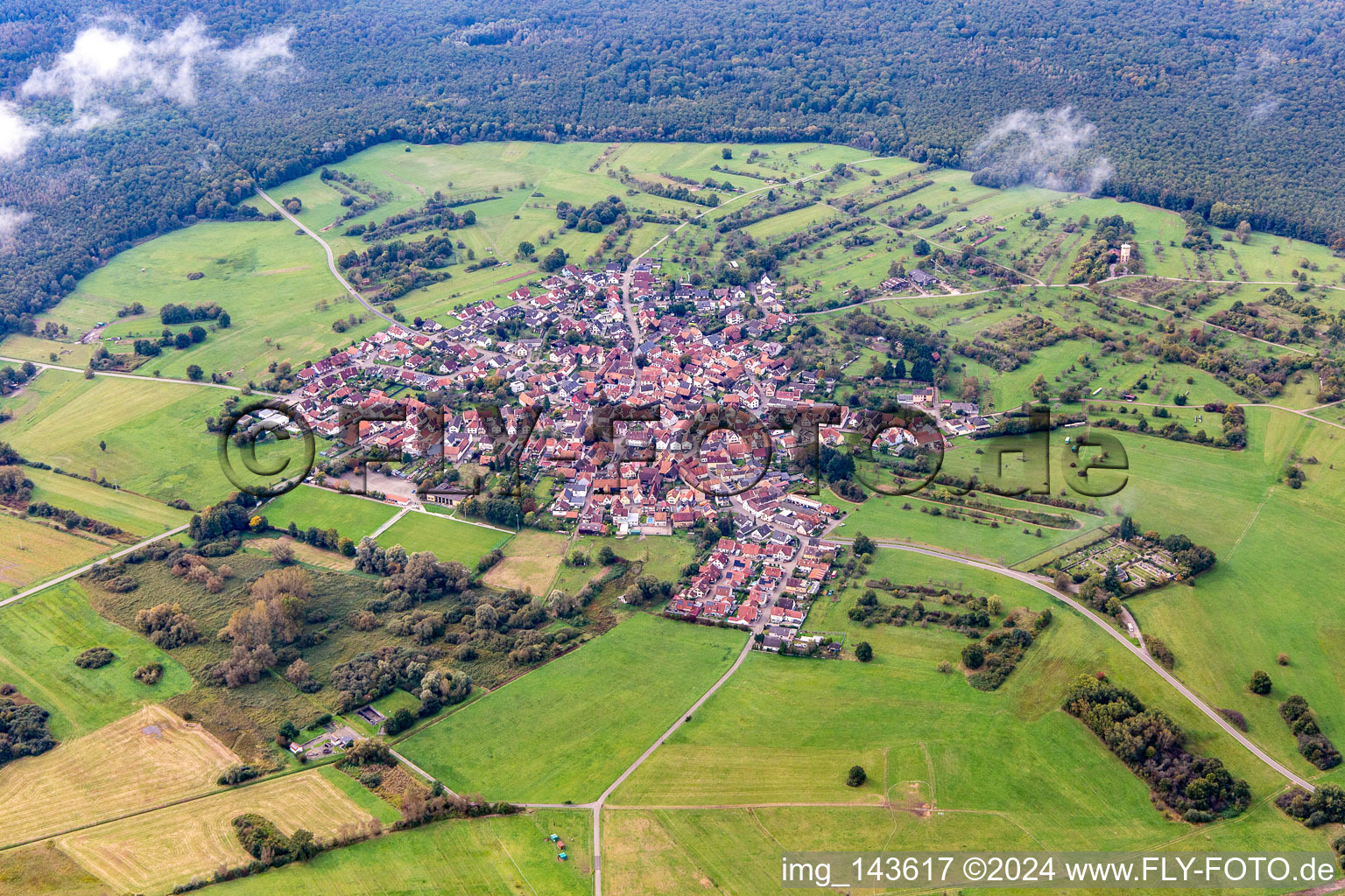 Schrägluftbild von Eine Insel im Bienwald unter Wolken im Ortsteil Büchelberg in Wörth am Rhein im Bundesland Rheinland-Pfalz, Deutschland