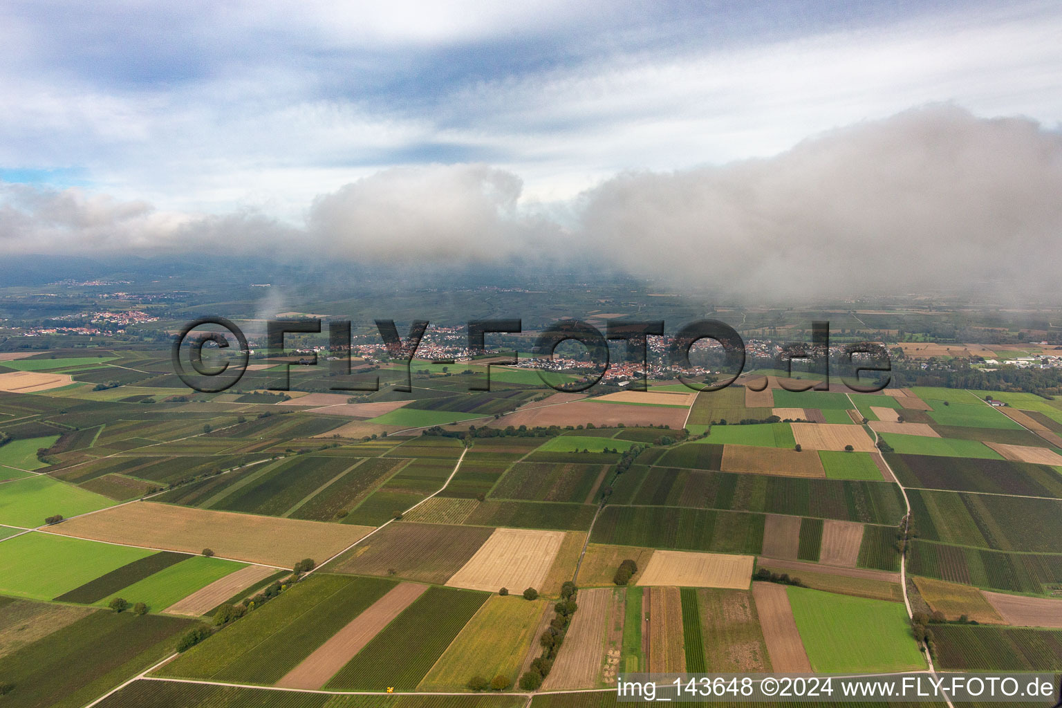 Ortschaft unter herbstlichen Wolken von Süden im Ortsteil Billigheim in Billigheim-Ingenheim im Bundesland Rheinland-Pfalz, Deutschland