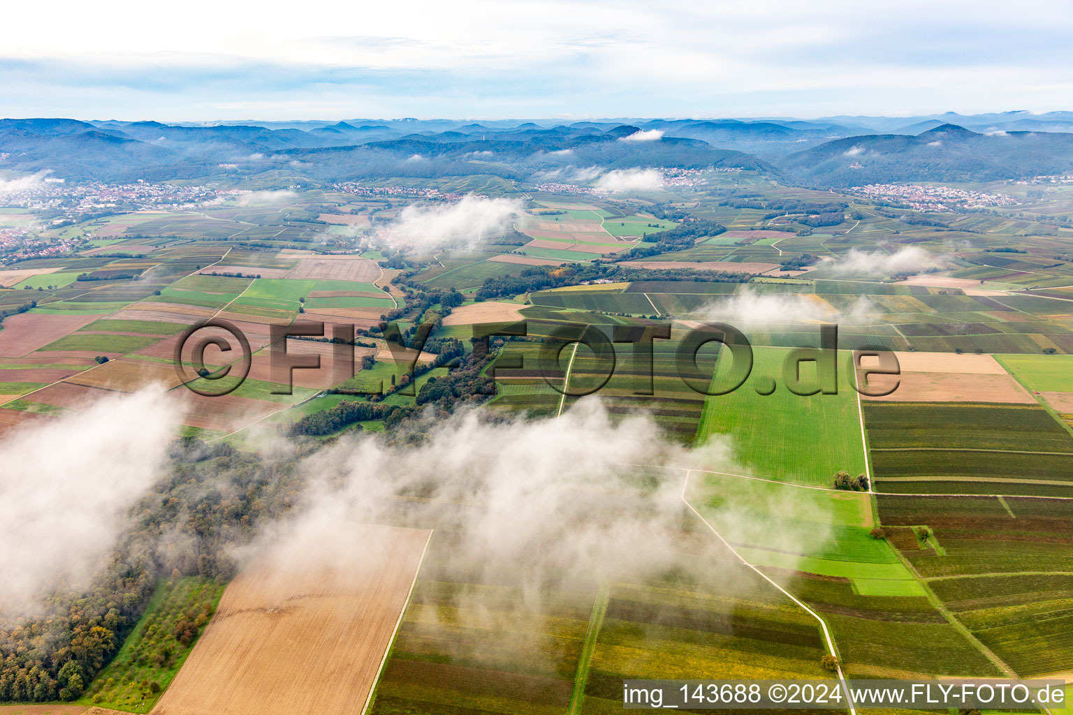 Luftbild von Horbachtal unter herbstlichen Wolken von Osten im Ortsteil Ingenheim in Billigheim-Ingenheim im Bundesland Rheinland-Pfalz, Deutschland