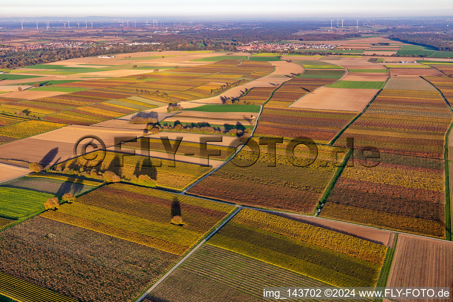 Weinberge der südlichen Wienstraße im Herbstlaub im Ortsteil Ingenheim in Billigheim-Ingenheim im Bundesland Rheinland-Pfalz, Deutschland von oben