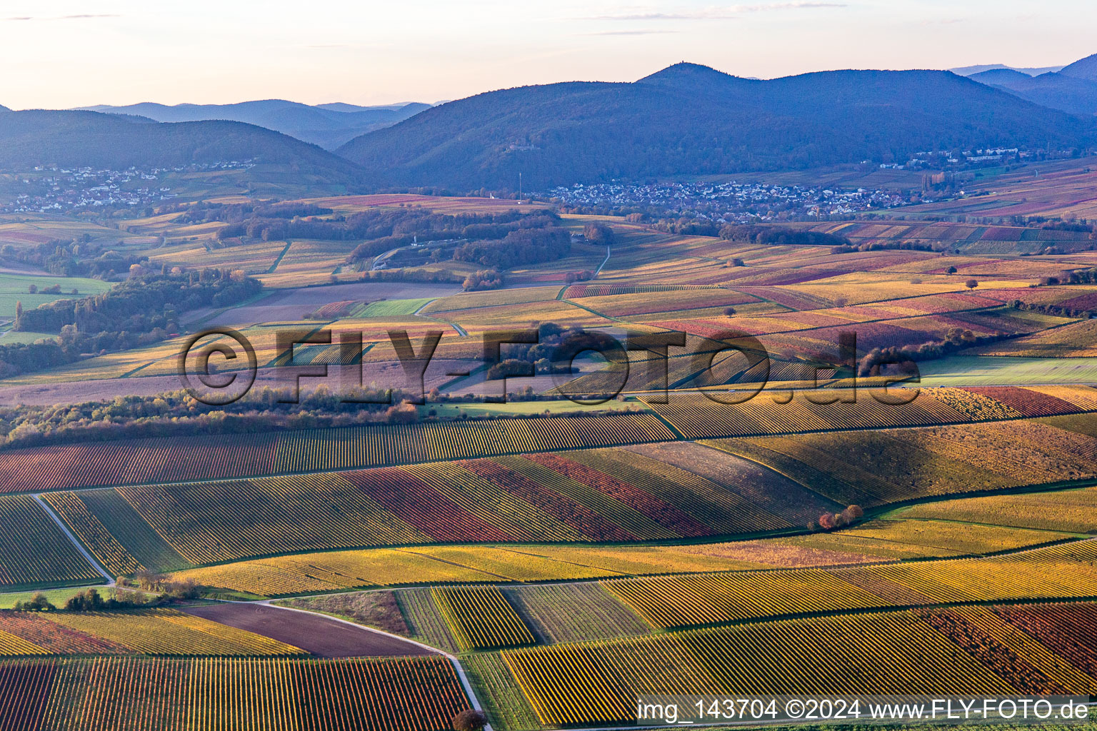 Weinberge der südlichen Wienstraße im Herbstlaub im Ortsteil Ingenheim in Billigheim-Ingenheim im Bundesland Rheinland-Pfalz, Deutschland von oben gesehen