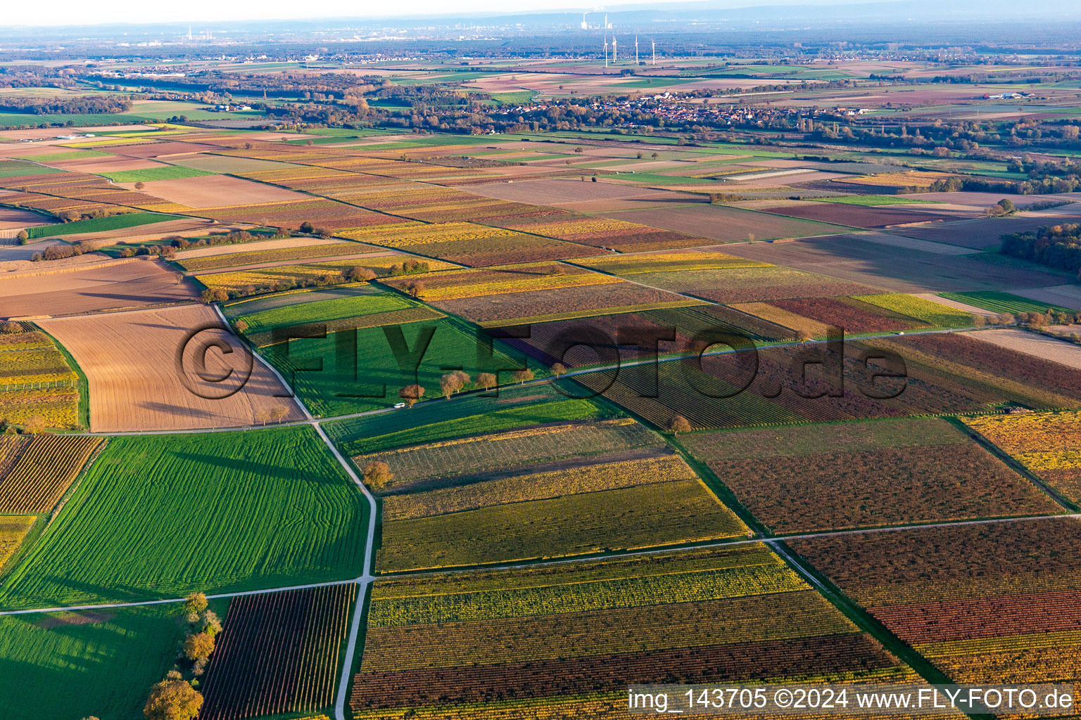 Weinberge der südlichen Wienstraße im Herbstlaub im Ortsteil Ingenheim in Billigheim-Ingenheim im Bundesland Rheinland-Pfalz, Deutschland vom Flugzeug aus