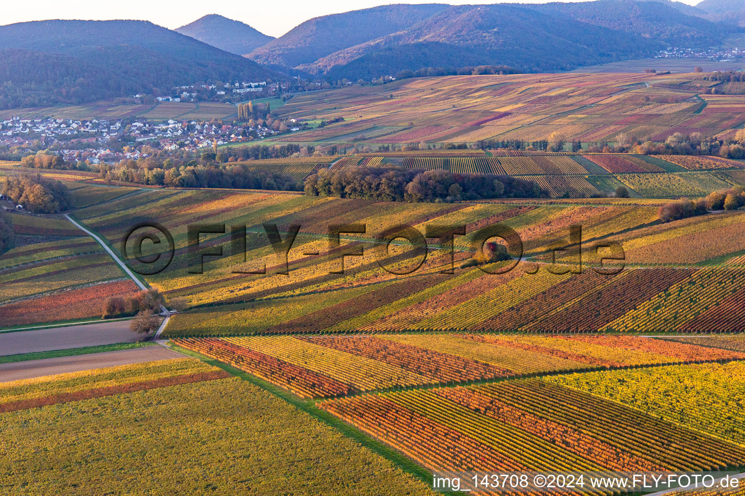 Weinberge der südlichen Wienstraße im Herbstlaub im Ortsteil Klingen in Heuchelheim-Klingen im Bundesland Rheinland-Pfalz, Deutschland