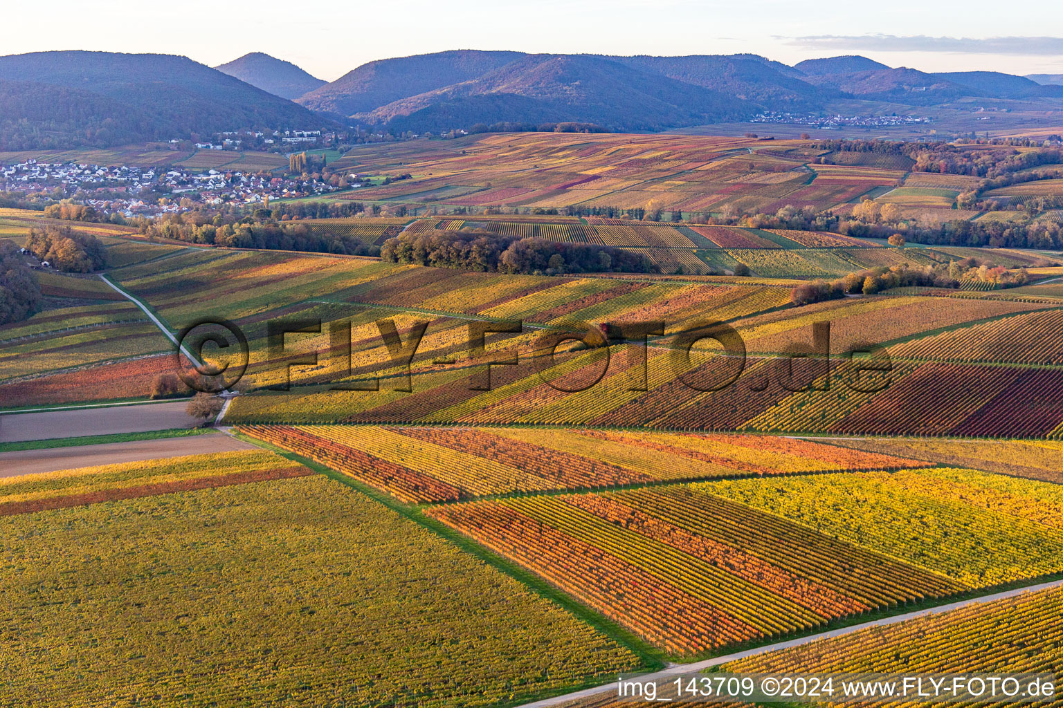 Luftbild von Weinberge der südlichen Wienstraße im Herbstlaub im Ortsteil Klingen in Heuchelheim-Klingen im Bundesland Rheinland-Pfalz, Deutschland