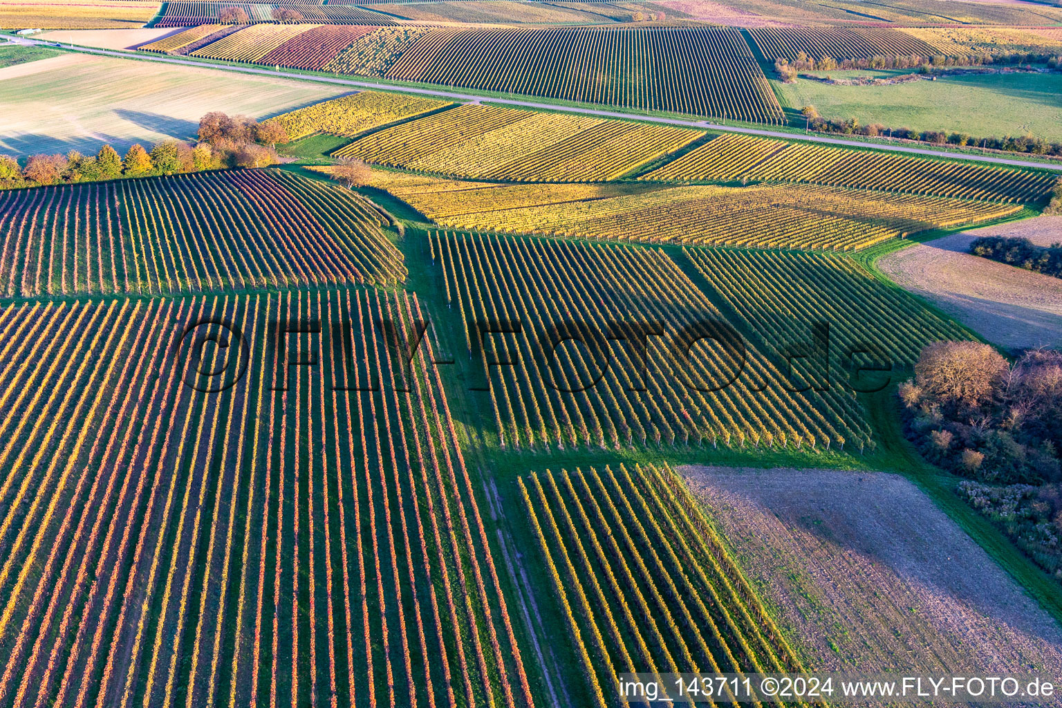 Schrägluftbild von Weinberge der südlichen Wienstraße im Herbstlaub im Ortsteil Klingen in Heuchelheim-Klingen im Bundesland Rheinland-Pfalz, Deutschland