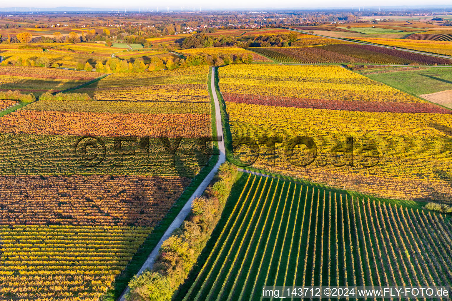 Weinberge der südlichen Wienstraße im Herbstlaub im Ortsteil Klingen in Heuchelheim-Klingen im Bundesland Rheinland-Pfalz, Deutschland von oben