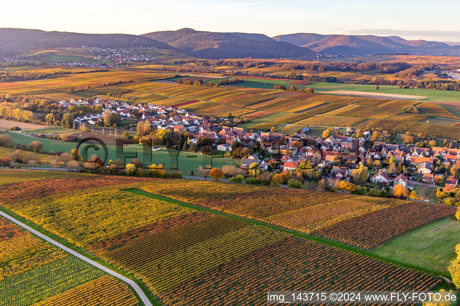 Luftaufnahme von Ortschaft von Südosten in Niederhorbach im Bundesland Rheinland-Pfalz, Deutschland