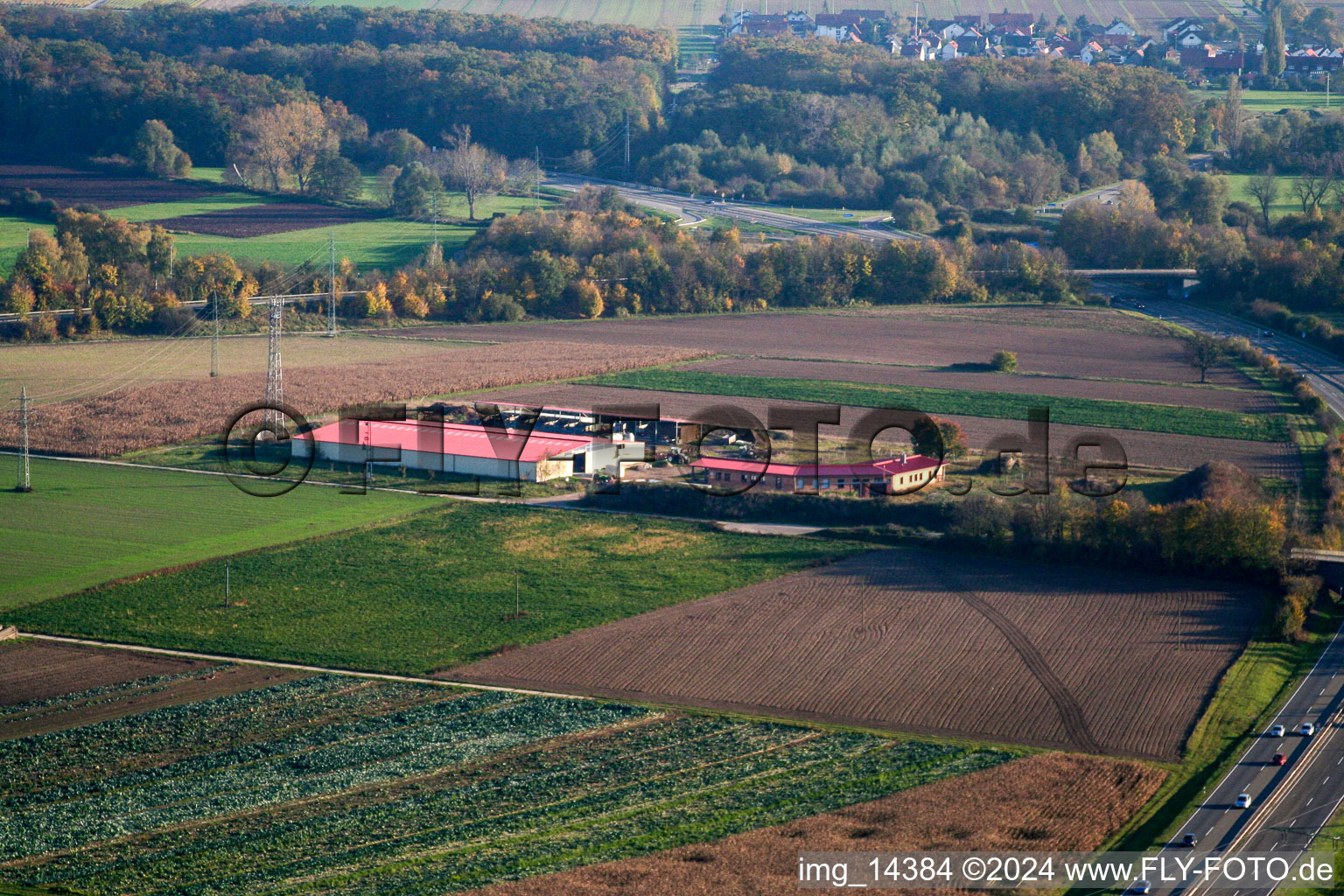 Hühnerhof Eierfarm in Erlenbach bei Kandel im Bundesland Rheinland-Pfalz, Deutschland aus der Luft