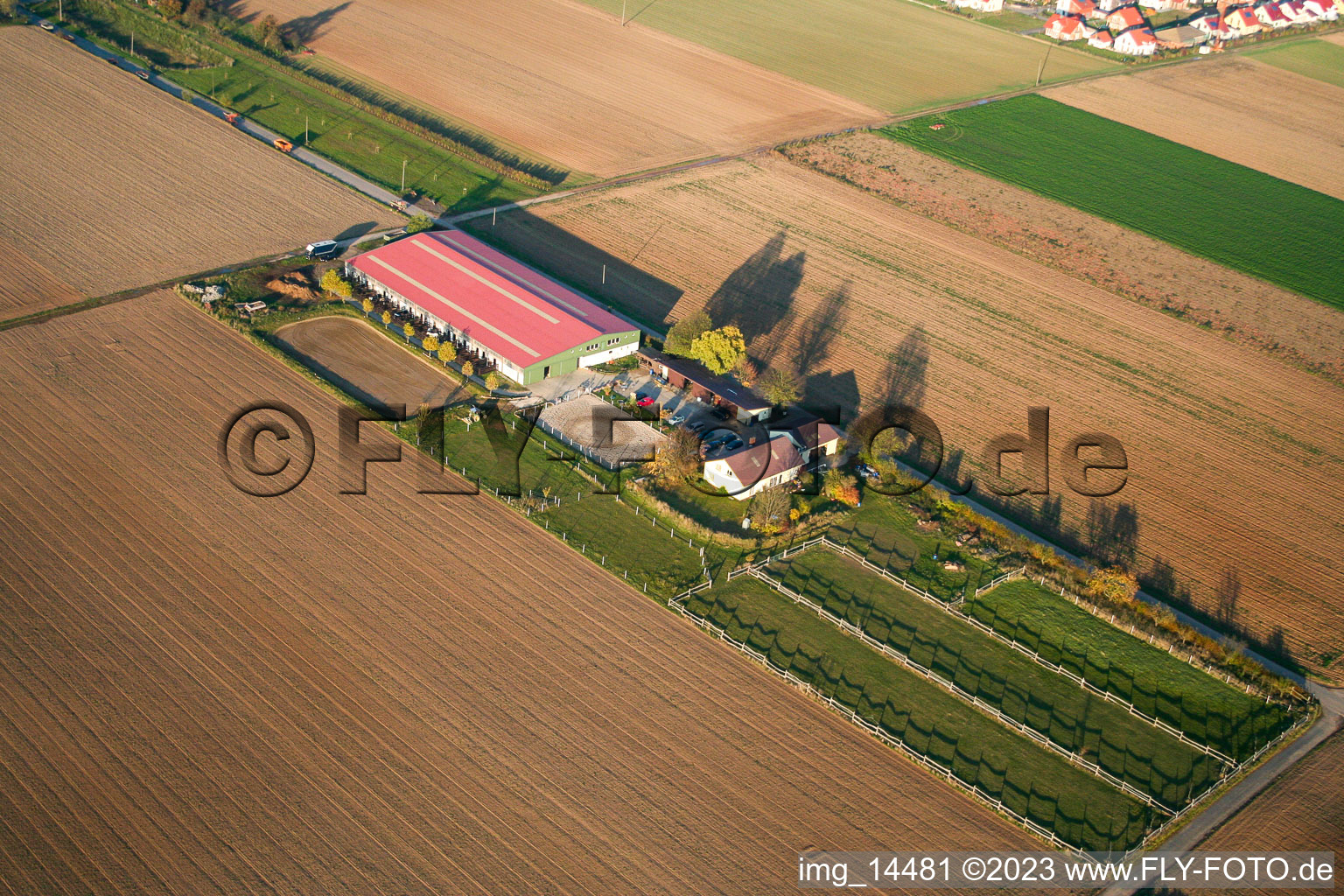 Steinweiler, Fohlenhof im Bundesland Rheinland-Pfalz, Deutschland aus der Luft