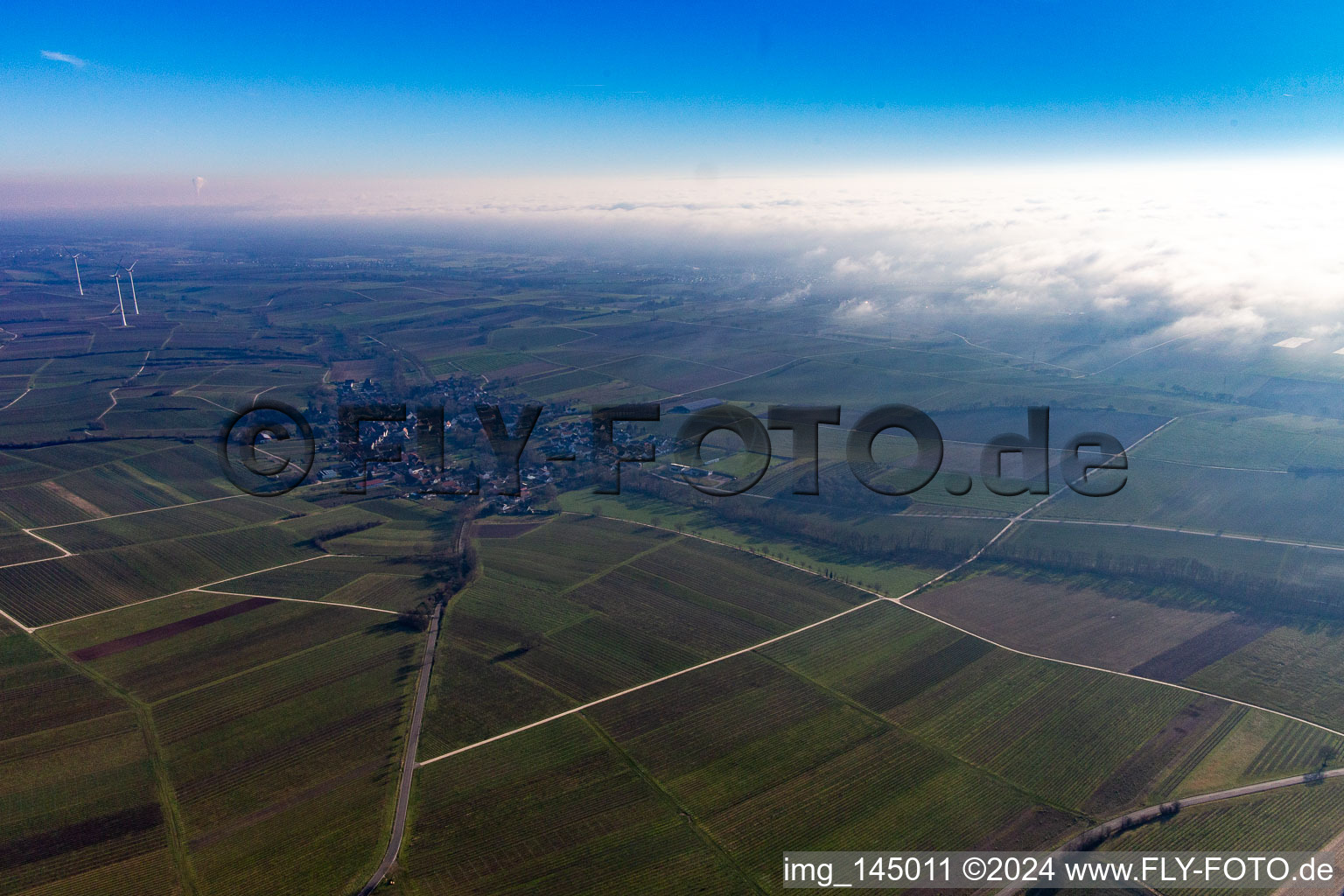 Bienwald unter Wolken in Dierbach im Bundesland Rheinland-Pfalz, Deutschland