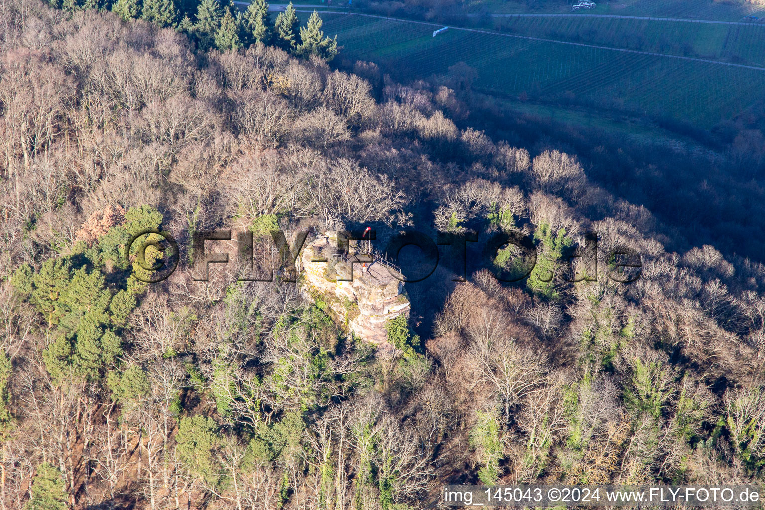 Burgruine Neukastell in Leinsweiler im Bundesland Rheinland-Pfalz, Deutschland