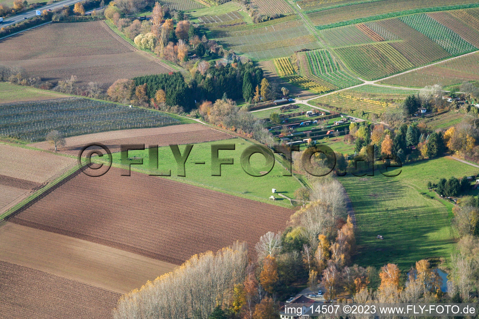 Luftaufnahme von Insheim, an der Fischerhütte im Bundesland Rheinland-Pfalz, Deutschland