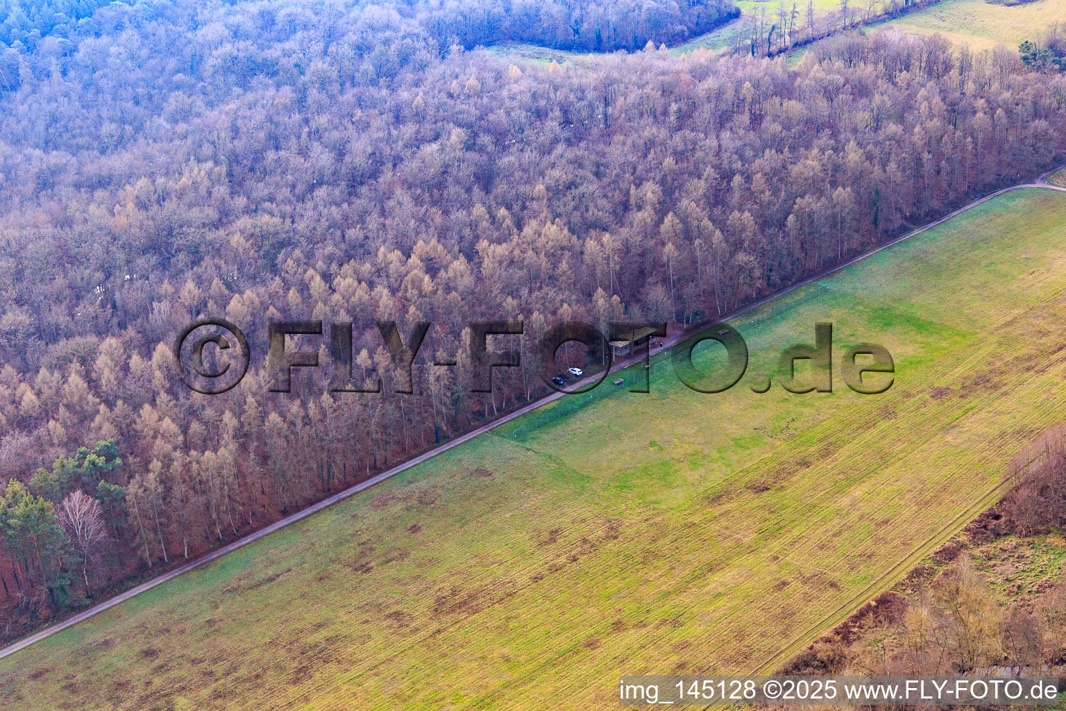 MSV Rülzheim eV im Bundesland Rheinland-Pfalz, Deutschland