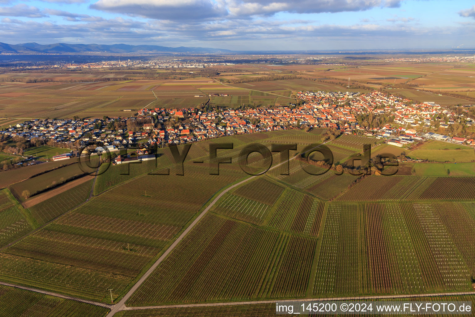 Luftbild von Ortsansicht von Süden in Insheim im Bundesland Rheinland-Pfalz, Deutschland