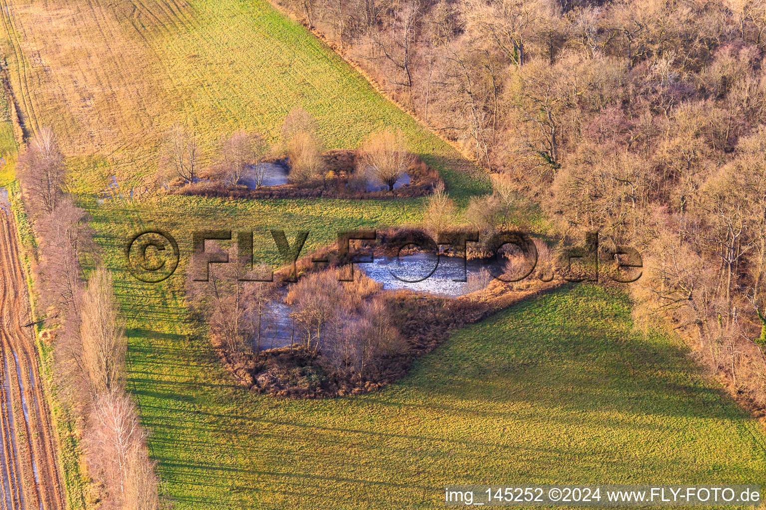 Biotop am Altbach im Ortsteil Minderslachen in Kandel im Bundesland Rheinland-Pfalz, Deutschland