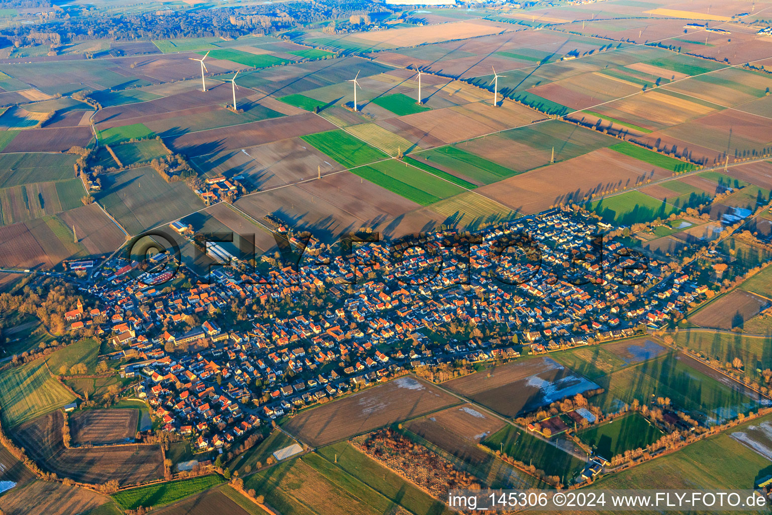 Luftbild von Windpark im Winter in Minfeld im Bundesland Rheinland-Pfalz, Deutschland