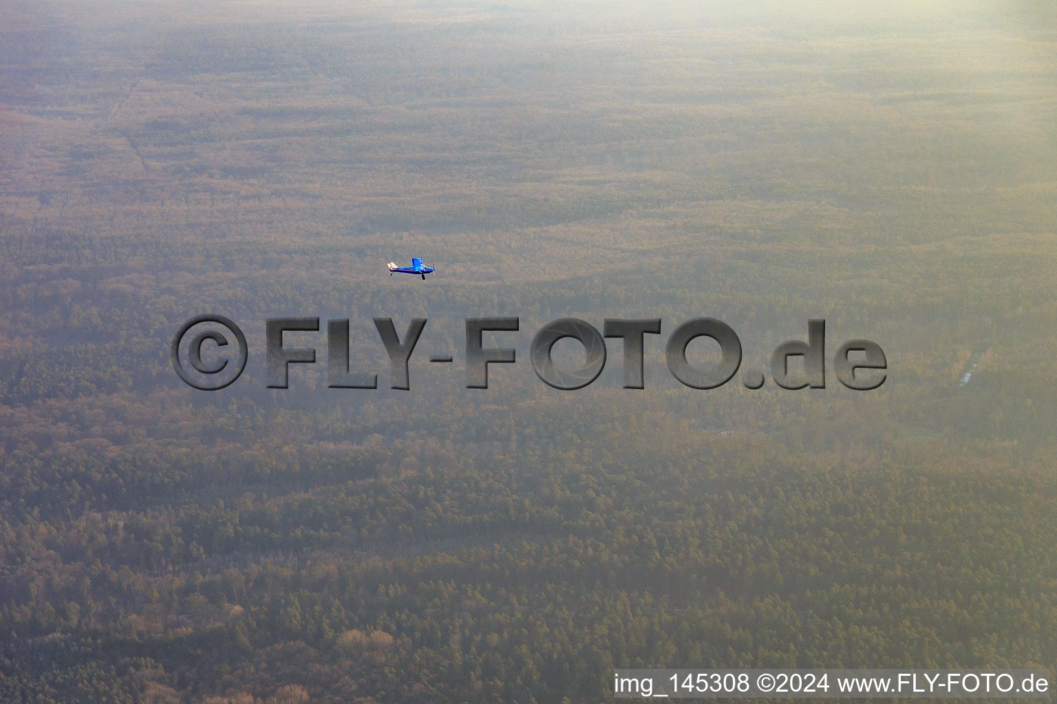 Sportflugzeugt D-MFFA über dem Bienwald im Ortsteil Büchelberg in Wörth am Rhein im Bundesland Rheinland-Pfalz, Deutschland