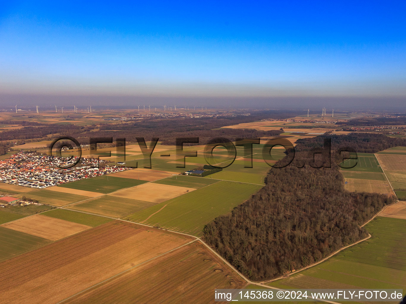 Ortsansicht aus Westen in Steinweiler im Bundesland Rheinland-Pfalz, Deutschland