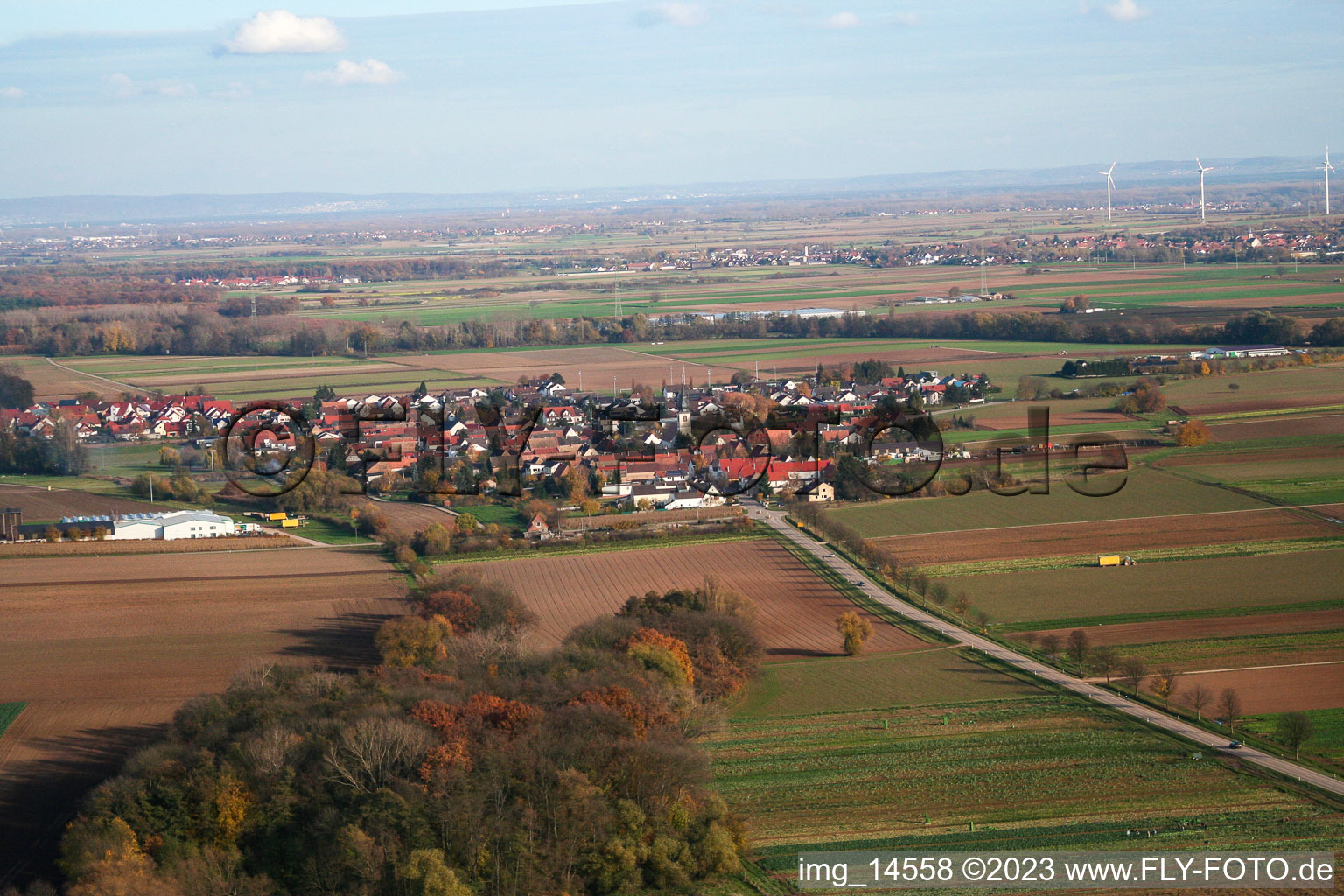 Freimersheim im Bundesland Rheinland-Pfalz, Deutschland aus der Drohnenperspektive