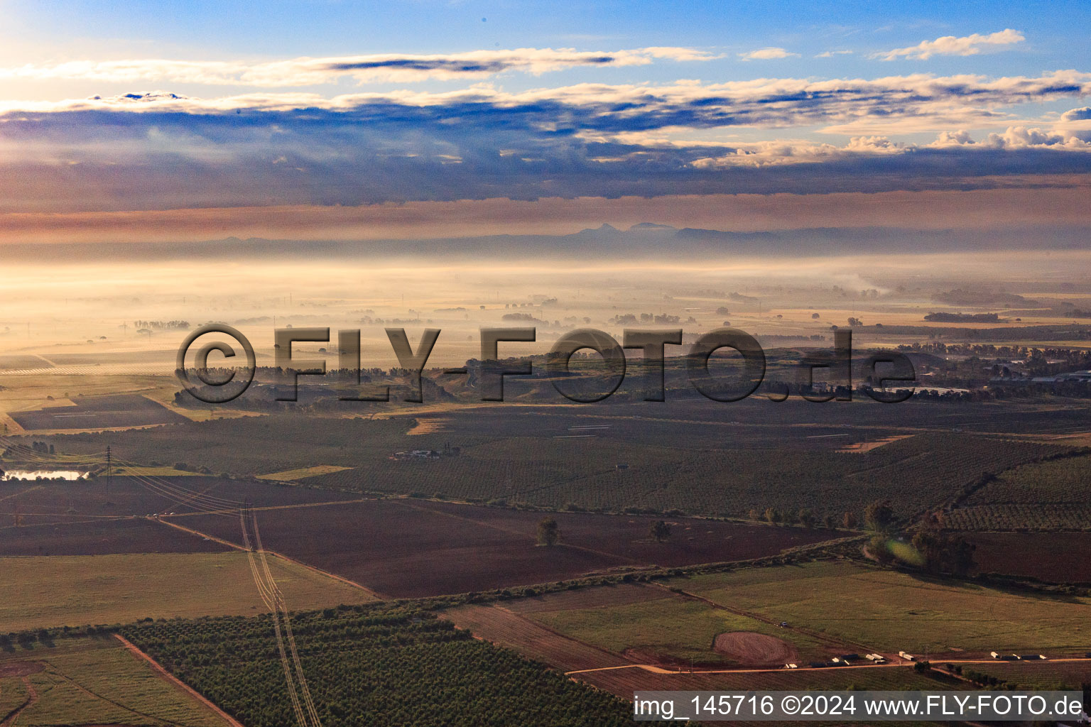 Luftbild von Olivenbaumplantagen im Morgendunst in Alcalá de Guadaíra im Bundesland Sevilla, Spanien