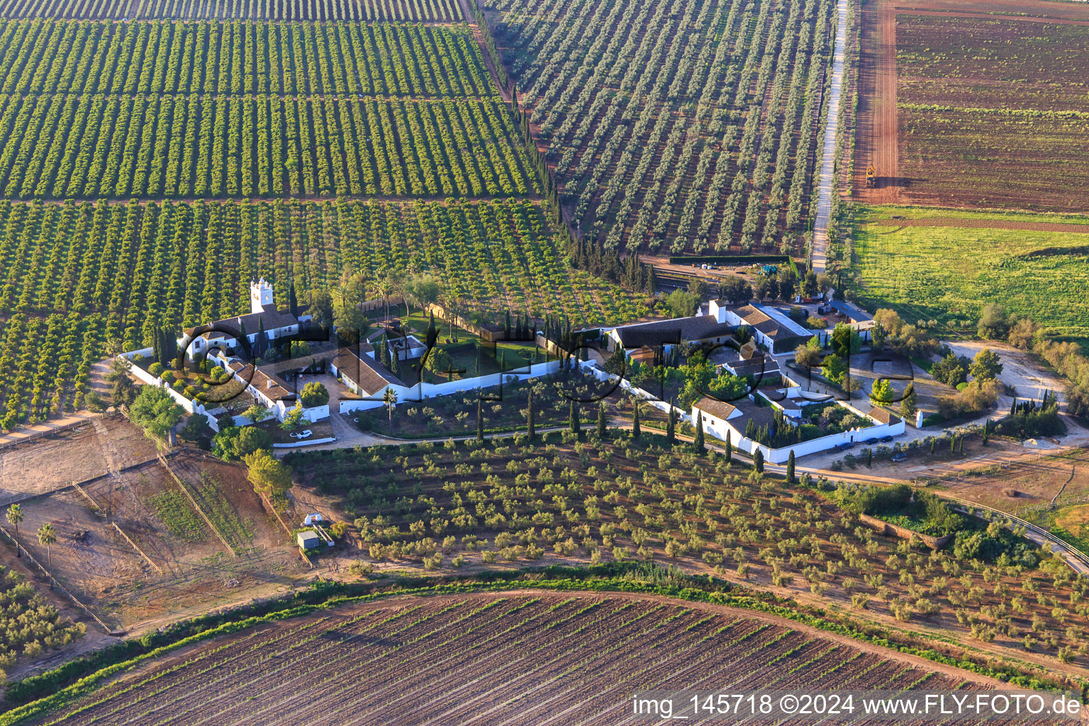 Hacienda de Clarevot zwischen Olivenbaumplantagen in Alcalá de Guadaíra im Bundesland Sevilla, Spanien