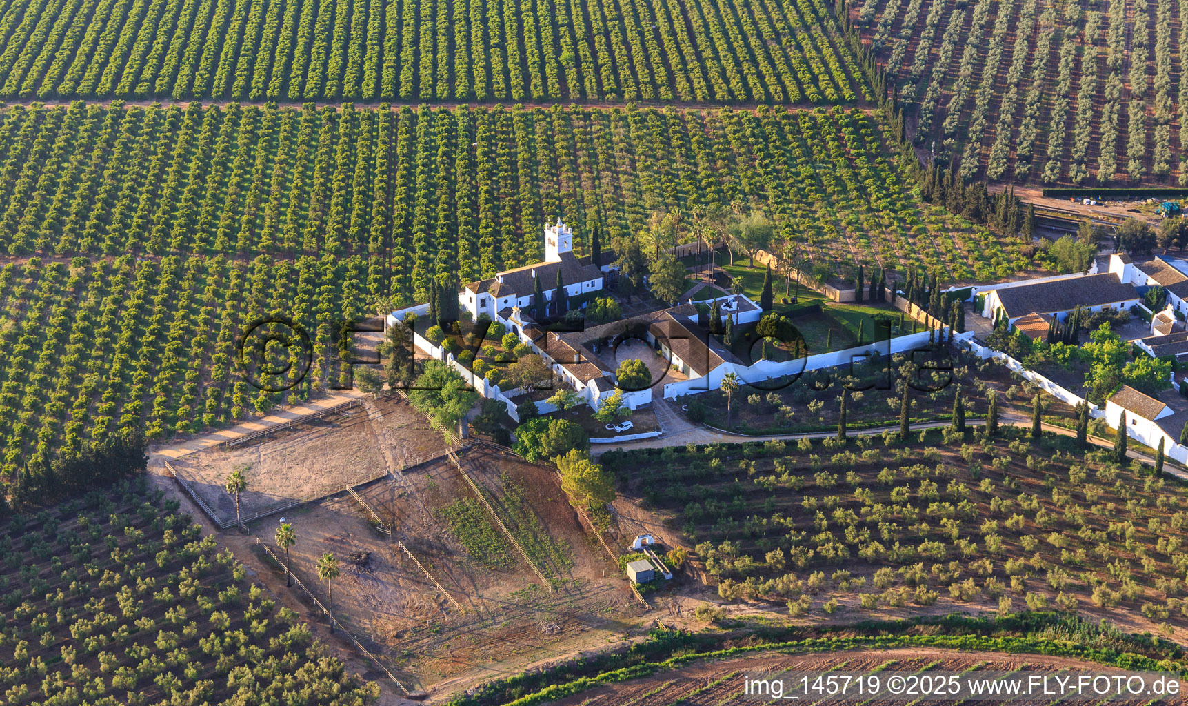 Luftbild von Hacienda de Clarevot zwischen Olivenbaumplantagen in Alcalá de Guadaíra im Bundesland Sevilla, Spanien