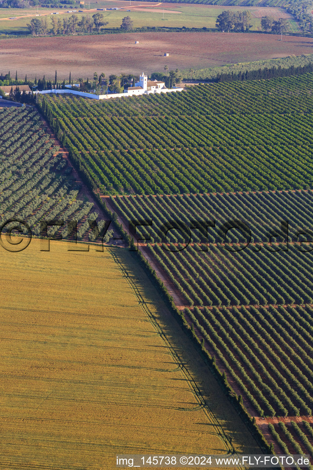 Hacienda de Clarevot zwischen Olivenbaumplantagen im Ortsteil El Acebuchal in Alcalá de Guadaíra im Bundesland Sevilla, Spanien