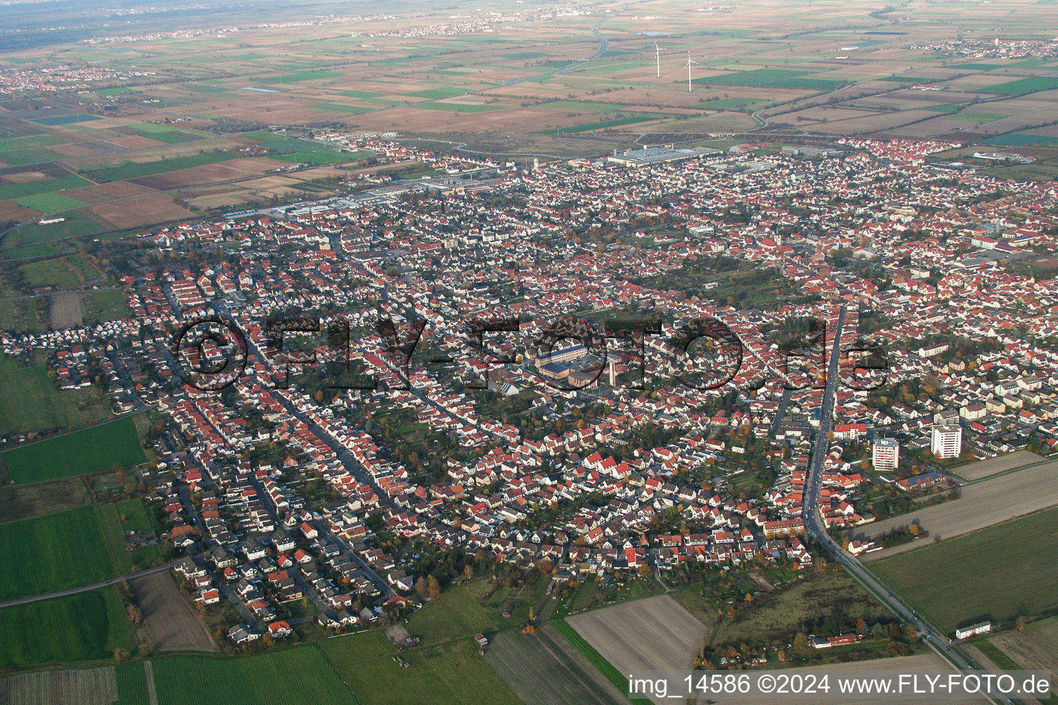 Luftaufnahme von Ortsansicht der Straßen und Häuser der Wohngebiete in Haßloch im Bundesland Rheinland-Pfalz, Deutschland