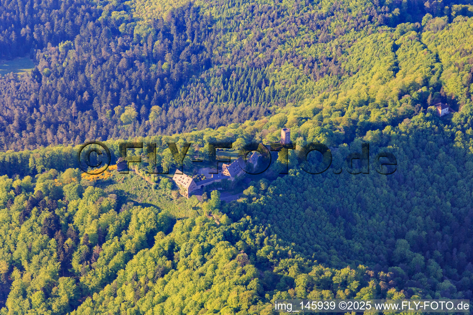 CHÂTEAU DU HUNEBOURG in Dossenheim-sur-Zinsel im Bundesland Bas-Rhin, Frankreich
