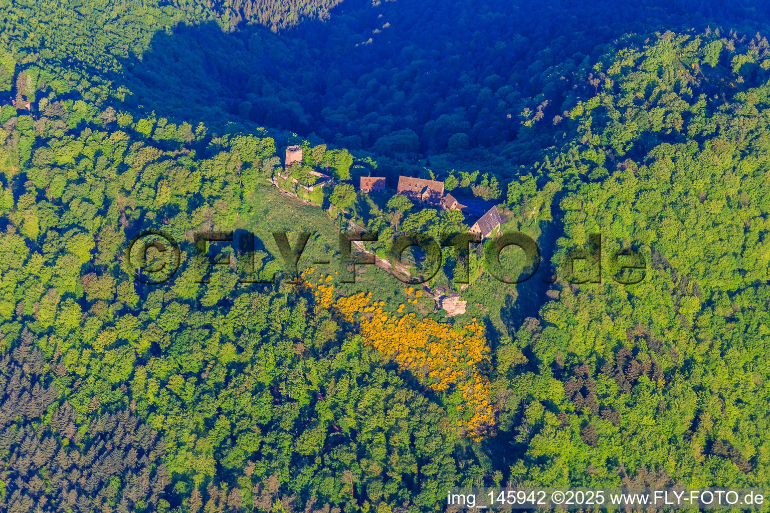 CHÂTEAU DU HUNEBOURG aus Osten in Dossenheim-sur-Zinsel im Bundesland Bas-Rhin, Frankreich