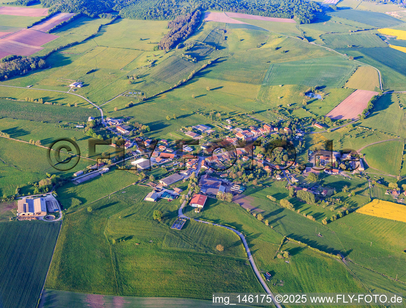 Dorfansicht aus Südwesten in Fribourg im Bundesland Moselle, Frankreich