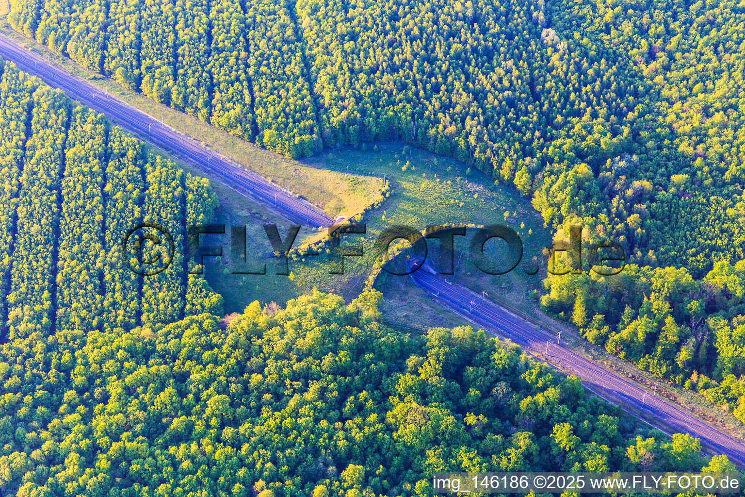 Wildbrücke über die Bahnlinie in Loudrefing im Bundesland Moselle, Frankreich