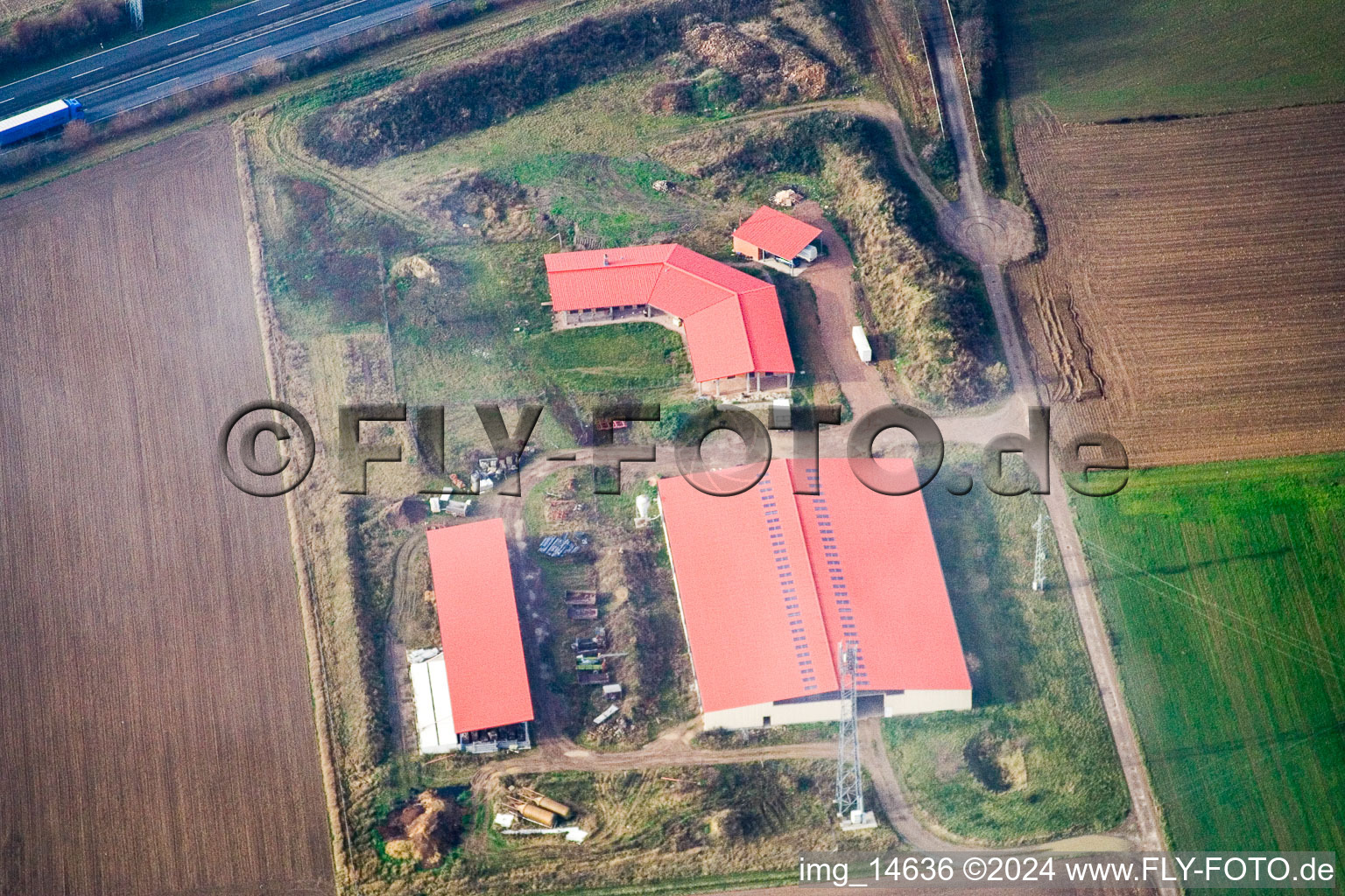 Hühnerhof Eierfarm in Erlenbach bei Kandel im Bundesland Rheinland-Pfalz, Deutschland vom Flugzeug aus
