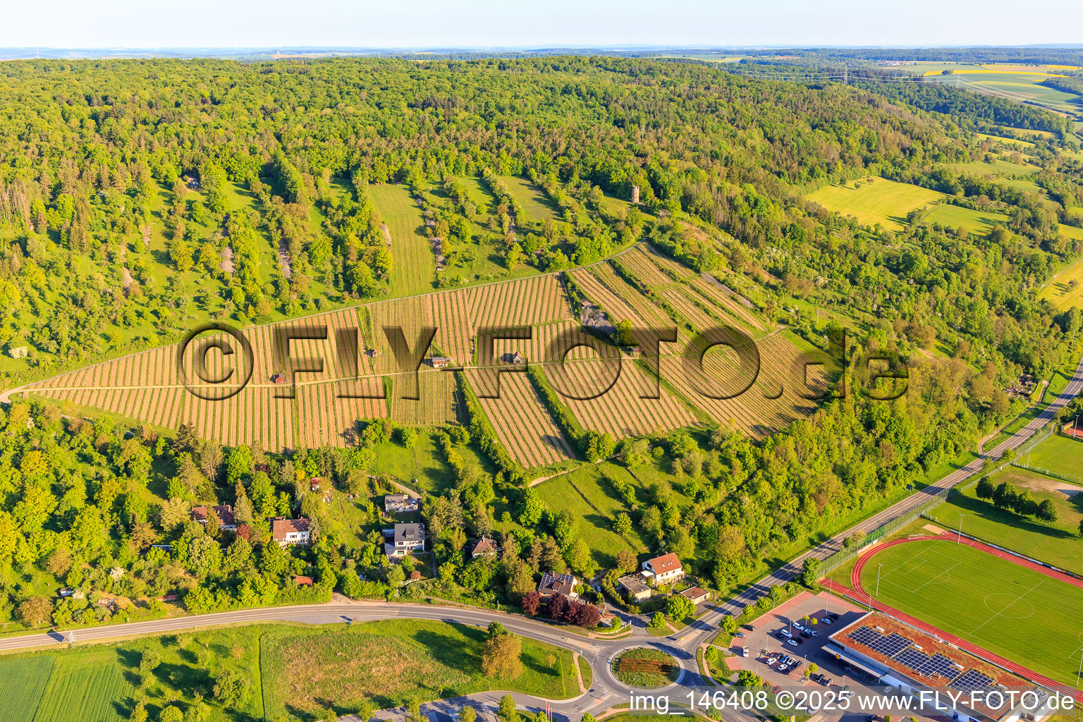 Weinberge mit Weinlage Weikersheimer Schmecker im Bundesland Baden-Württemberg, Deutschland