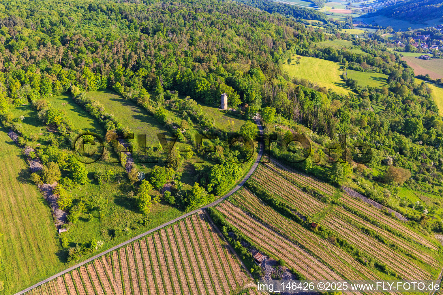 Weikersheimer Wartturm und Weinberge mit Weinlage Weikersheimer Schmecker im Bundesland Baden-Württemberg, Deutschland