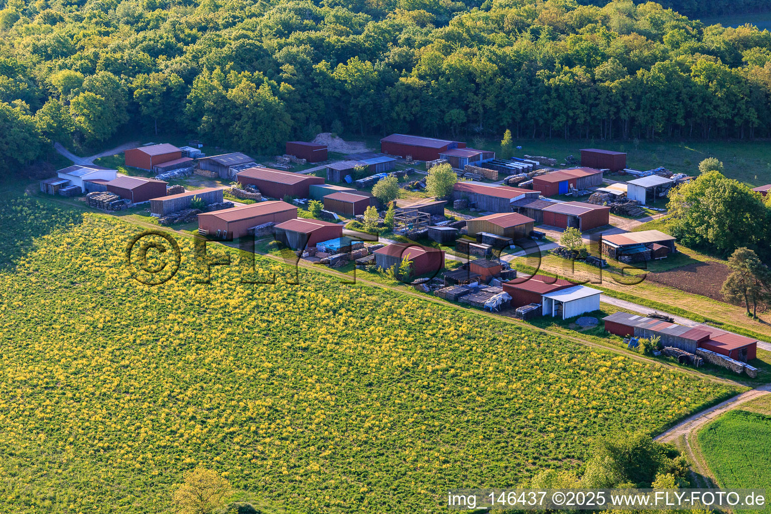 Hallenplatz am Waldrand in Tauberrettersheim im Bundesland Bayern, Deutschland