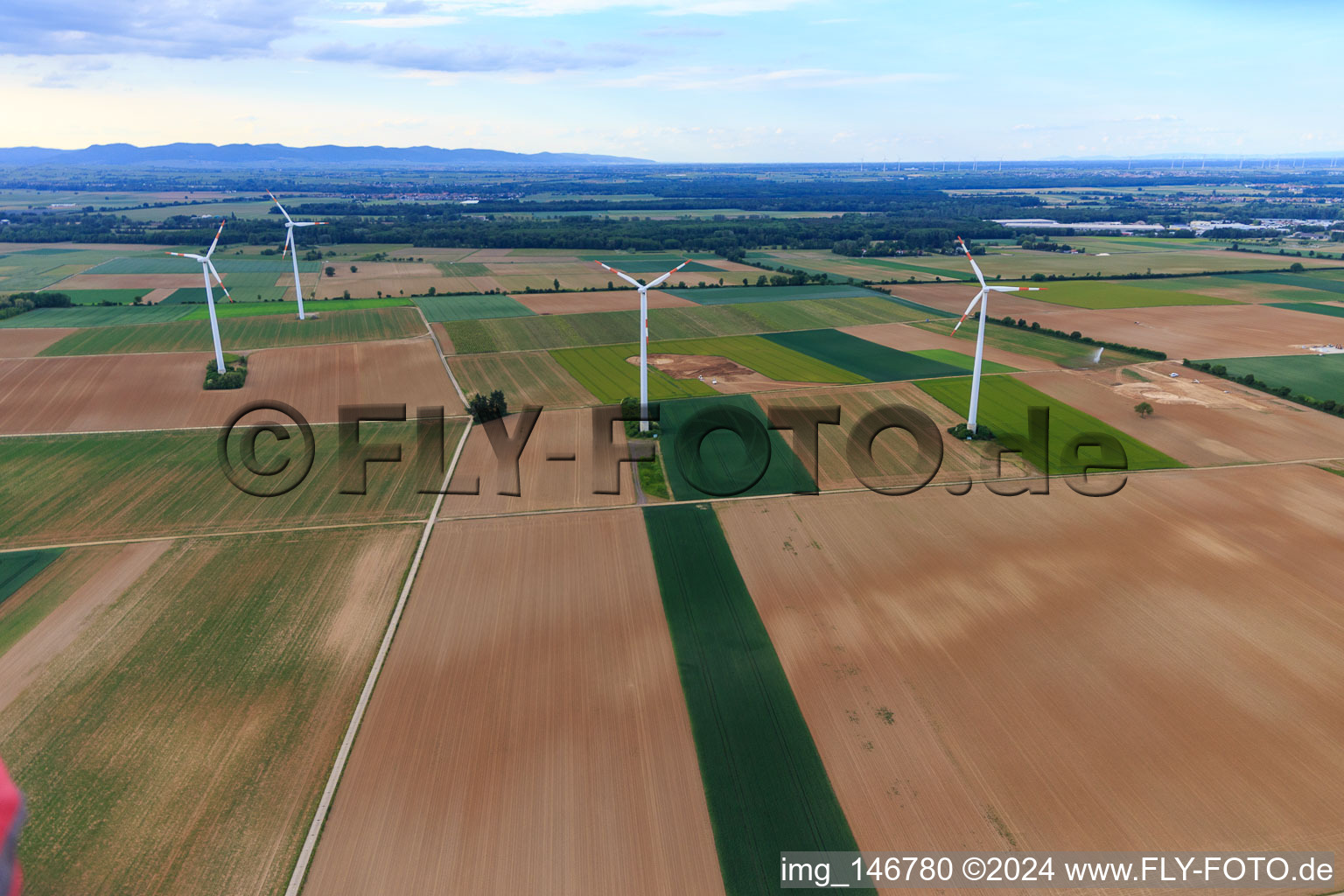 Windpark Minfeld im Bundesland Rheinland-Pfalz, Deutschland aus der Luft