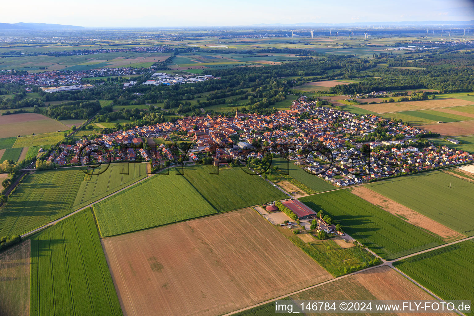 Ortsansicht aus Südwesten in Steinweiler im Bundesland Rheinland-Pfalz, Deutschland aus der Luft