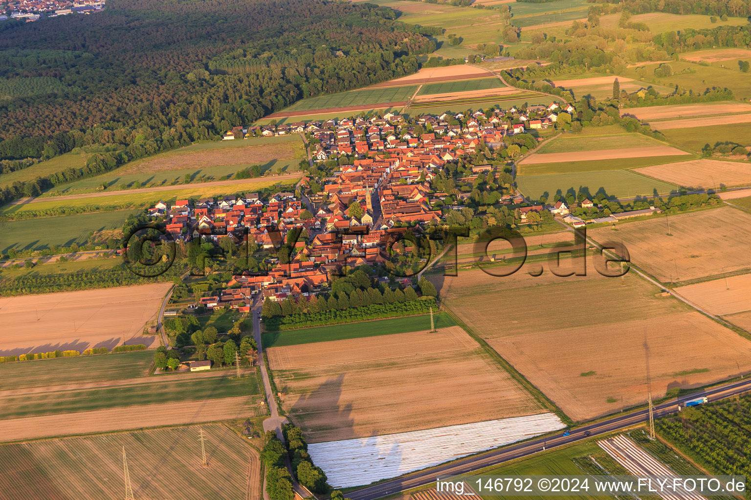 Dorfansicht aus Nordwesten in Erlenbach bei Kandel im Bundesland Rheinland-Pfalz, Deutschland