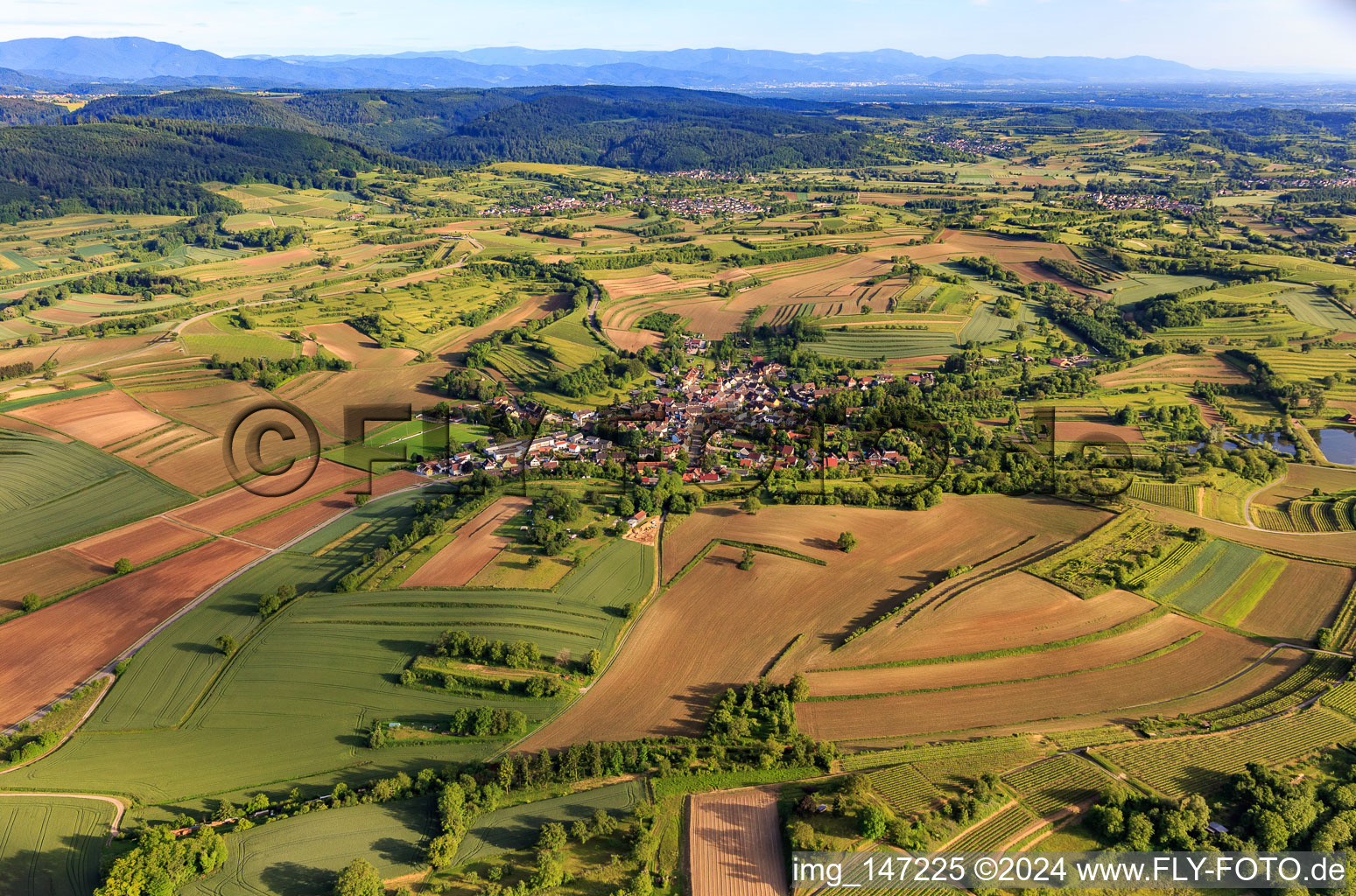 Luftbild von Dorfansicht aus Norden im Ortsteil Wallburg in Ettenheim im Bundesland Baden-Württemberg, Deutschland