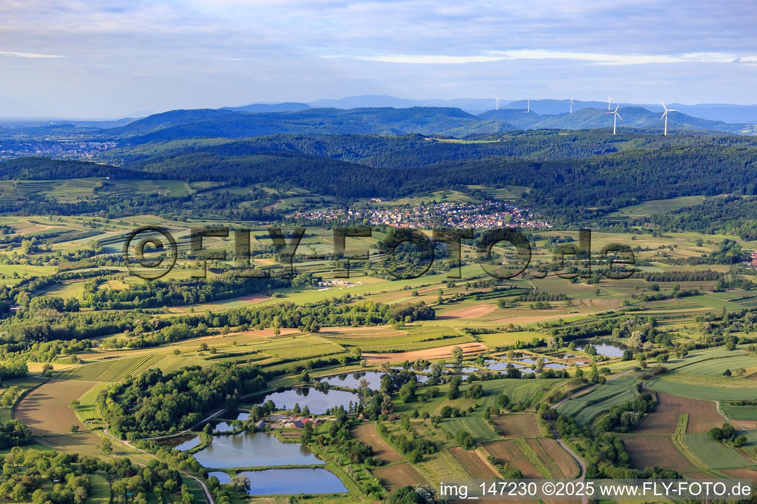 Fischweiher am Seitenbach in Ettenheim im Bundesland Baden-Württemberg, Deutschland