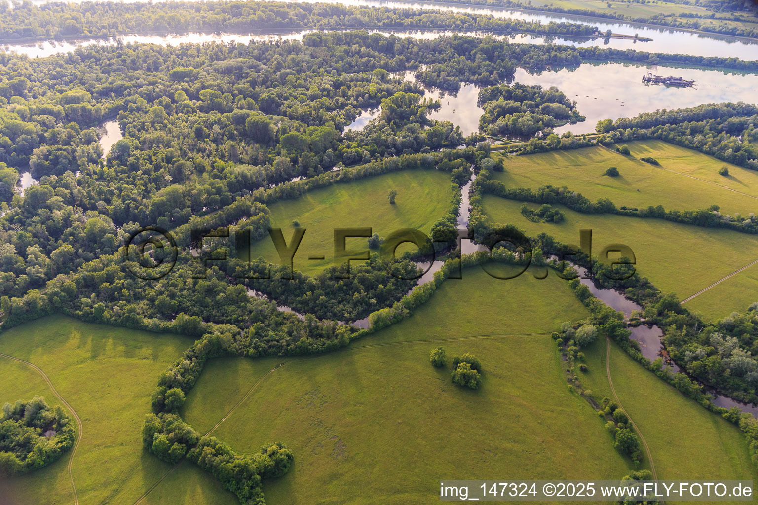 Naturschutzgebiet Taubergiessen zwischen Rheinauen und Rhein in Ortenaukreis im Bundesland Baden-Württemberg, Deutschland
