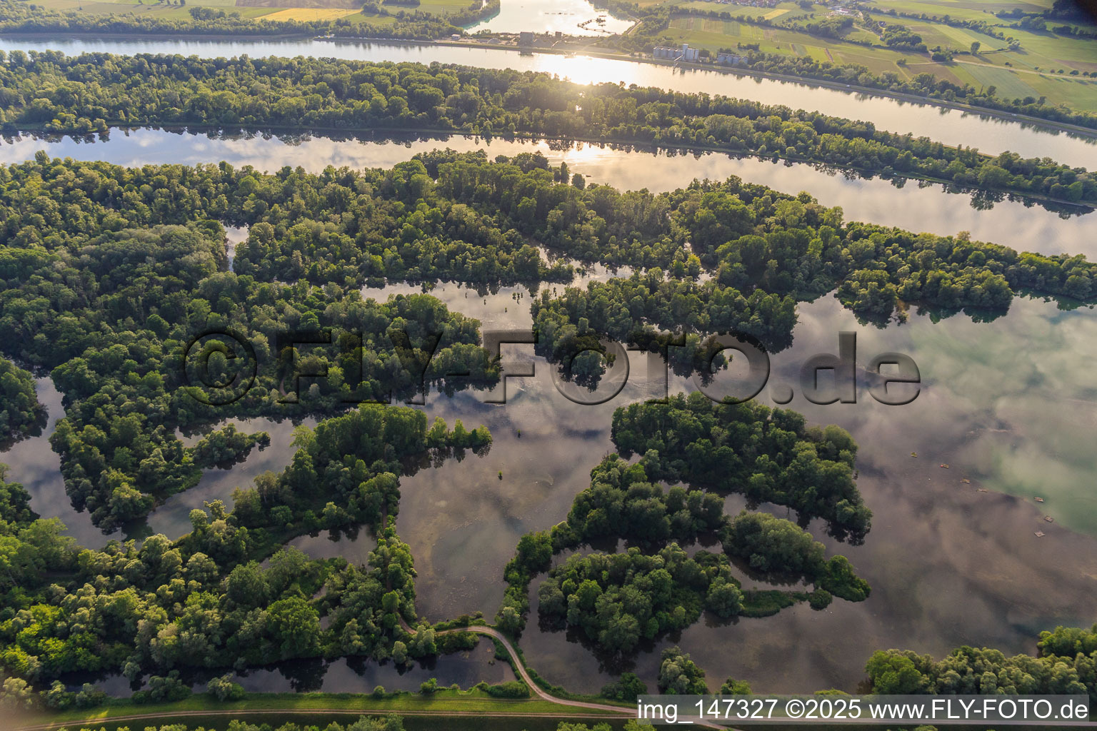 Herrenkopfbrücke im Naturschutzgebiet Taubergiessen zwischen Rheinauen und Rhein in Ortenaukreis im Bundesland Baden-Württemberg, Deutschland