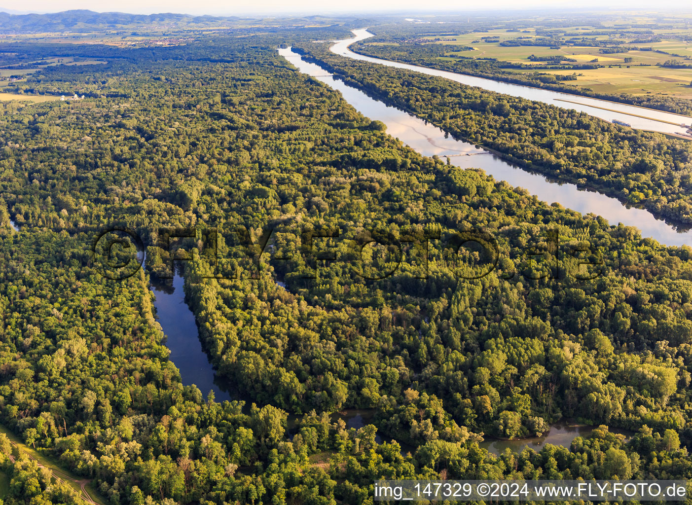 Luftaufnahme von Naturschutzgebiet Taubergiessen zwischen Rheinauen und Rhein in Ortenaukreis im Bundesland Baden-Württemberg, Deutschland