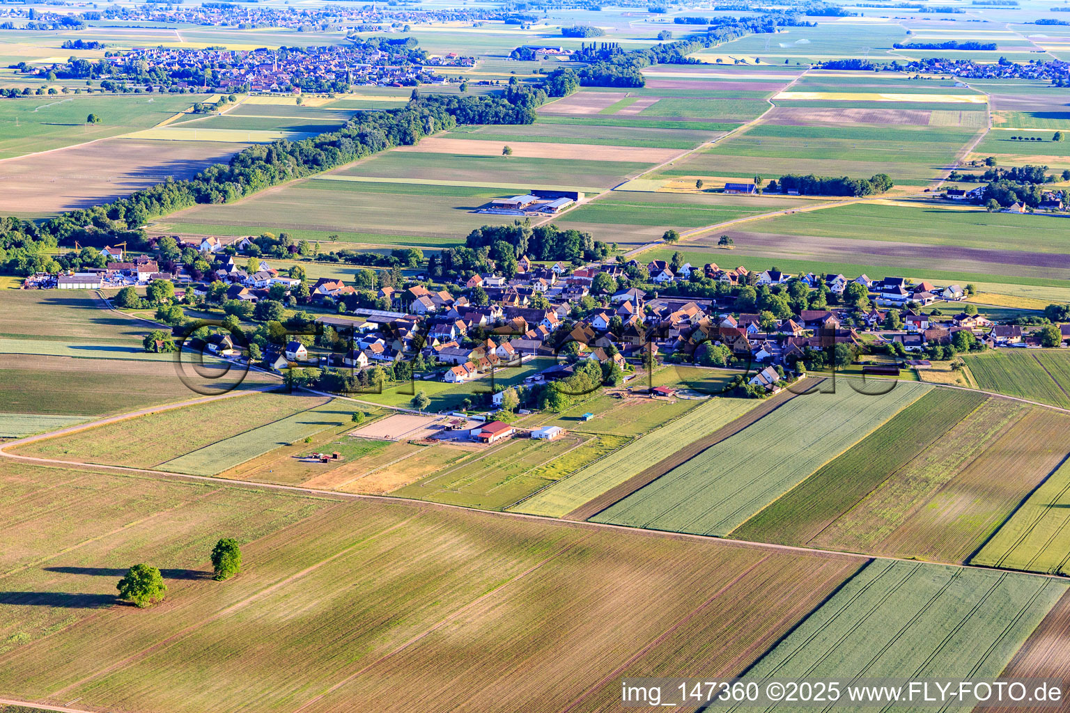 Dorfansicht aus Norden in Schwobsheim im Bundesland Bas-Rhin, Frankreich