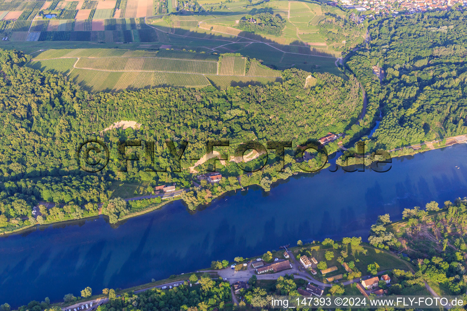 Limberg am Rhein in Sasbach am Kaiserstuhl im Bundesland Baden-Württemberg, Deutschland