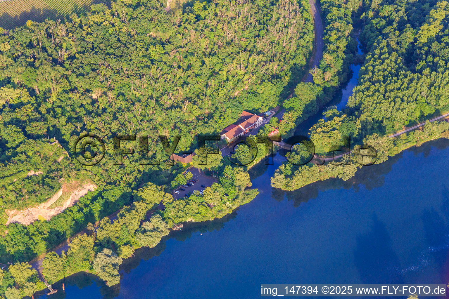 Limberg am Rhein mit Restaurant Zur Limburg in Sasbach am Kaiserstuhl im Bundesland Baden-Württemberg, Deutschland